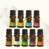 Bali Dancer Spa Series Essential Oil, 10 Ml (Champaca)