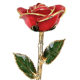 24k Gold Rose - Real Rose Dipped in Gold (Bright Red)