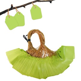 BEADNOVA Plant Hanging Tags 100pcs Tags with String Reusable Plant Labels Markers Plastic Garden Signs Garden Markers for Outdoor (2 Inch, Light Green)