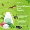 36 Pcs Peppermint Oil to Repel Mice and Rats -