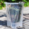 5-Pack Clear Plastic Orchid Pots with Drainage Holes - 14cm