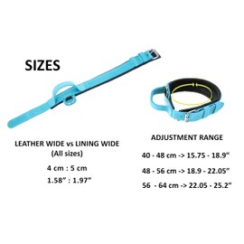 DINGO GEAR Drago Leather Dog Collar, Amortized with Strong Wide Handle, Handmade, Neck Girth 56-64 cm, for Training and Walks, Pull Protection, Soft Padding, Blue (S03923)