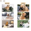 Dog Muzzle, Breathable Mesh Anti Biting Barking Chewing, Adjustable Bite
