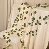 33 Ft Vine with Eucalyptus Leaf Lights Battery Operated, 8