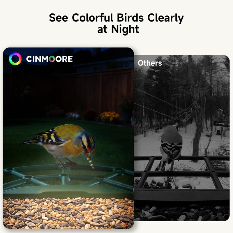 CINMOORE Smart Bird Feeder with Camera - Solar Powered, AI