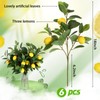 Giegxin 6 Pcs Artificial Lemons Tree Branches 18 Inch Faux