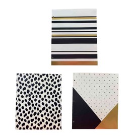 Carolina Pad Studio C Set of 3 Deluxe Poly Folders, The Gold Digger Collection (Cheetah, Elegant Stripes, Positively Stunning)