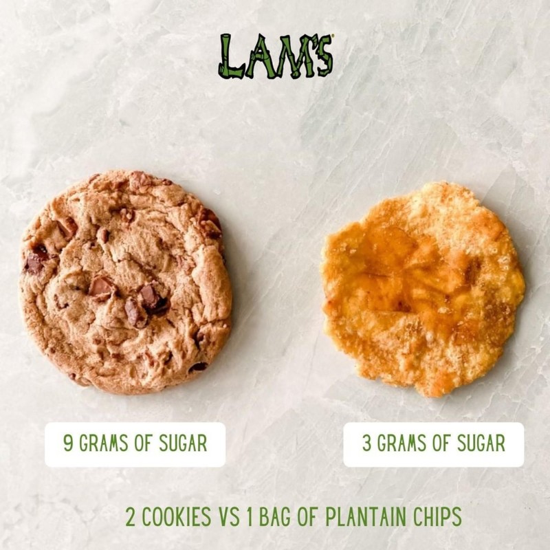 Lam's Tostones Garlic, No Trans Fat, Gluten Free, 4 oz,