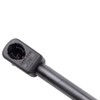 TRQ Driver & Passenger Side Liftgate Lift Support Shock Strut