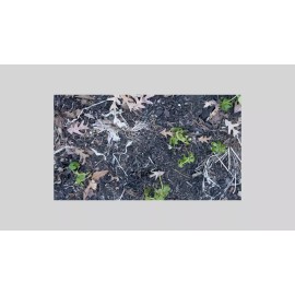 Peach Country Chocolate Brown Mulch Color Concentrate - 2,800 Sq. Ft. 1 quart