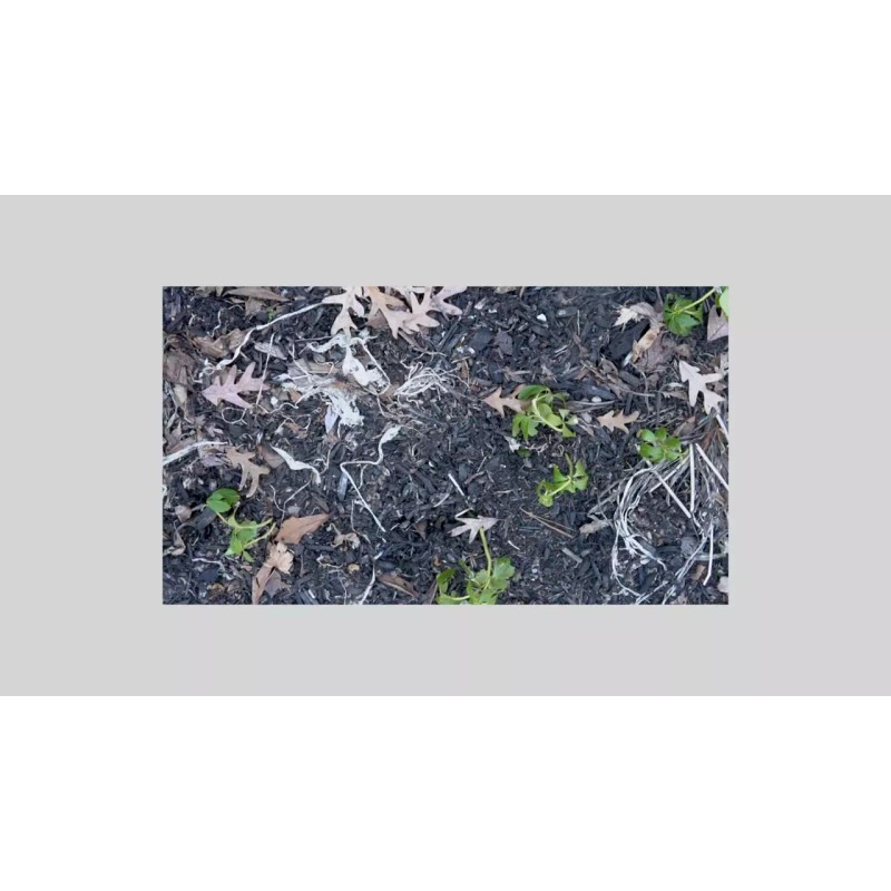 Peach Country Chocolate Brown Mulch Color Concentrate - 2,800 Sq.