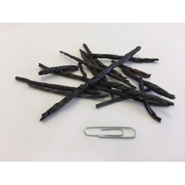 Chinese Holly Leaf | Folium Ilicis Latifoliae | Ku Ding Cha | 苦丁茶