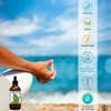 Wildcraft Herbs Wildcraft Herbs Teasel Herb Tincture Extract 4 oz