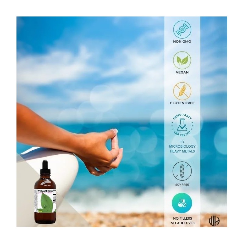 Wildcraft Herbs Wildcraft Herbs Teasel Herb Tincture Extract 4 oz