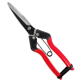 Dragon Treasure Round 青果 Scissor 210 mm nosr – 004