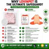 LovinPet Dog Recovery Bodysuit, Full Body Wound Protection for Large
