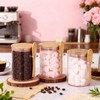 3 Set Pink Sugar Jars with Bamboo Lid and Spoon