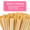 Bahan alamy Pack of 300 Wheat Straws, 20 cm Wheat