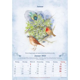 Alpha Edition - 100-Year Calendar 2025 Wall Calendar, 23.7 x 34 cm, Picture Calendar with Weather Forecasts, Farmer Rules and Loving Illustrations, Daily Weather Forecasts and Farmer Rules