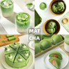 TEATREE Matcha (3.53 Oz), Polvo De Té Verde Matcha Orgánico,