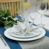 Fanxyware Star Shaped Origami Dinner Napkins with Silver Stars on