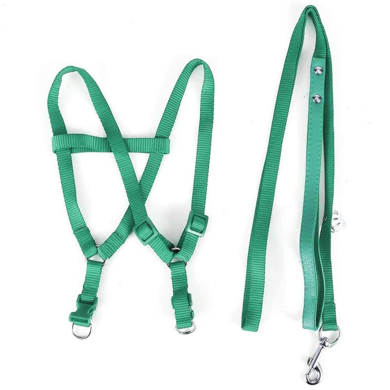 ASOCEA Adjustable Bird Harness Leash,Parrot Harness Leash Pet Anti-bite Training