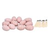12 Set Dinosaur Egg Dig Kit Dinosaur Egg Excavation Kit