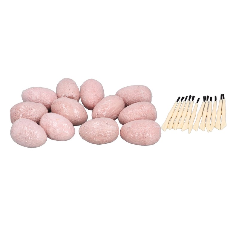 12 Set Dinosaur Egg Dig Kit Dinosaur Egg Excavation Kit