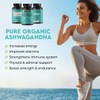 Warrior Strong Wellness Pure Organic Ashwagandha Capsules with Bioperine -