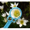 Reimei Fujii EW401 Super Observation Loupe Teacher Glass