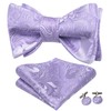 Hi-Tie Men's Bow Tie Self Tie Bow Ties Lavender Silk
