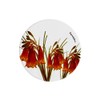 Maxwell & Williams Royal Botanic Gardens Australian Botanics Ceramic Round
