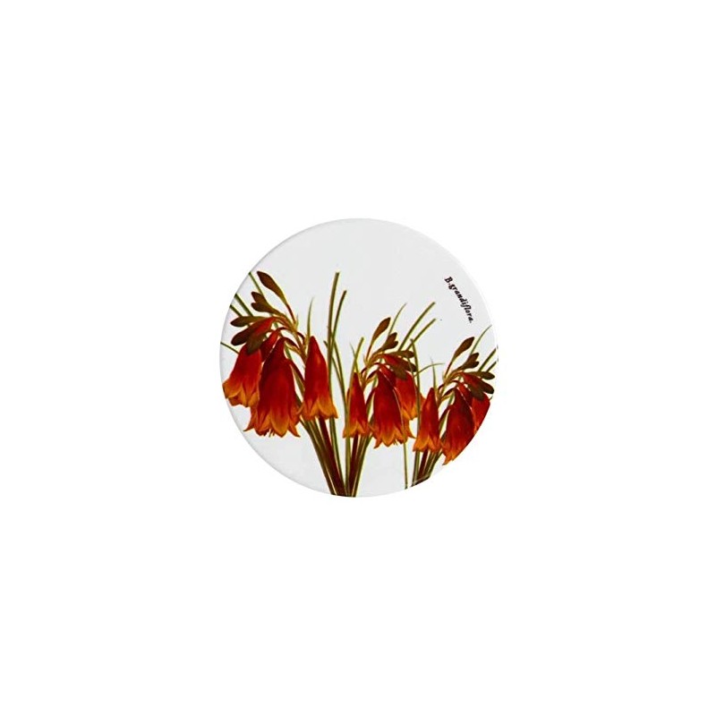 Maxwell & Williams Royal Botanic Gardens Australian Botanics Ceramic Round