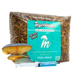 Mycelium's Purple Mukitake Gourmet Mushroom Kit | 8LBS Oak and Soy Hull Substrate & Millet Grain Combo | Sterile & Nutrient-Rich | Includes 20ML Purple Mukitake Liquid Culture Syringe