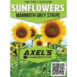 Axel's Garden Seeds Mammoth Sunflower Seeds for Planting - Grow Giant Sun Flowers in Your Garden - 50 Non GMO Heirloom Seeds - Full Planting Instructions for Easy Grow - Great Gardening Gifts (5 Packets)