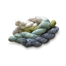 Manos Del Uruguay Fino Mini Skein Set 13 Ophelia, 100g (5 x 20g skeins)