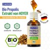 HOYER Propolis Drops Organic Certified 6 x 30 ml –