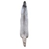 Dakotaline Furs Blue Fox Pelt/Hide - 60" Length, Genuine Natural