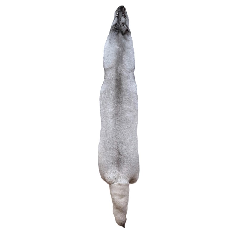 Dakotaline Furs Blue Fox Pelt/Hide - 60" Length, Genuine Natural