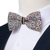 DiBanGu Rainbow Rhinestone Bow Ties for Men Solid Color Diamond