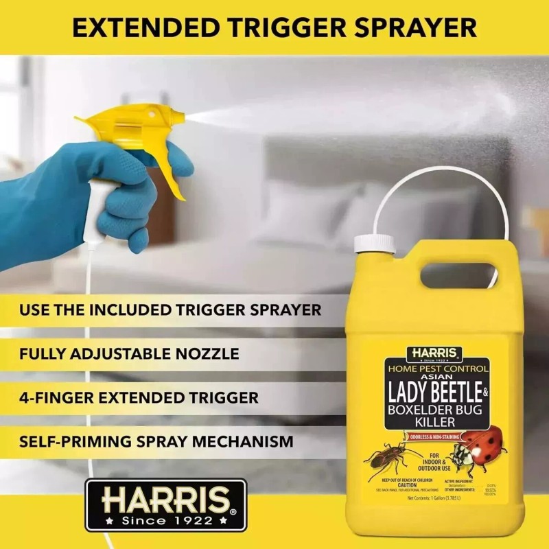 Harris Asian Lady Beetle & Box Elder Killer, Liquid Spray