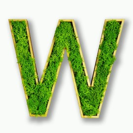 Acryltypo Moosly® Wooden Letter - W - with Wooden Frame, Moss Decorative Letters Sign Symbol Number - Wooden Letter with Real Iceland Moss - Wall Pictures Living Room Decoration Wall Pictures Living