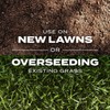 Scotts Turf Builder Rapid Grass Sun and Shade Mix, Combination