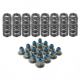 Lskioer 16 Set .560" Lift Beehive Valve Springs w/Hat Seals Fits For 1997+ Chevy Gen III IV LS 4.8L 5.3L 5.7L 6.0L 6.2L 7.0L Engines, Bee Hive Valve Spring Combinations