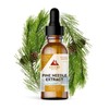 Ascent Nutrition Pine Needle Extract | Contains Naturally Occurring Shikimic