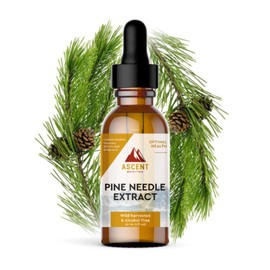 Ascent Nutrition Pine Needle Extract | Contains Naturally Occurring Shikimic Acid & Vitamin C | Wild-Harvested & Alcohol-Free | 30ml