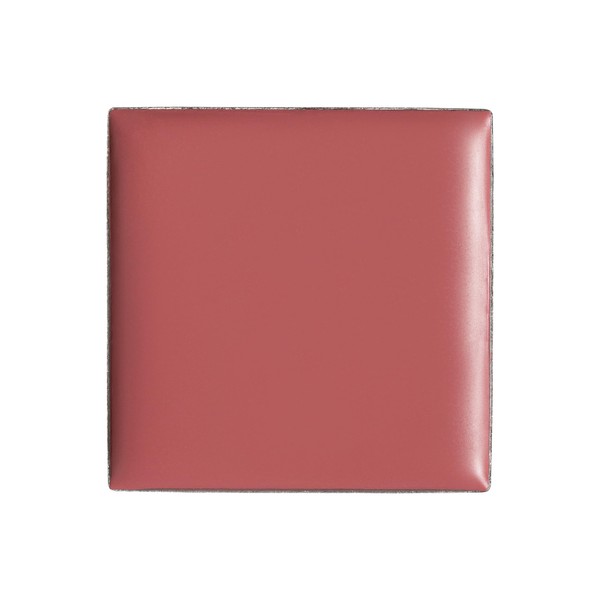 billion dollar brows Lip & Cheek Tint - Rich Pigment