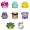 Squish-a-Longs Paquete de 8 (Estilo 1 - W2) - (8)