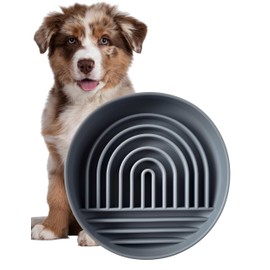 Modern Rainbow Pet Slow Feeder Bowl, Silicone Slow Feeder for Dogs & Puppies, Slow Eating, Modern Lick Mat Design, Reduces Gulping, Dishwasher Fit, for All Breed, Durable Mealtime Puzzle (Slate)