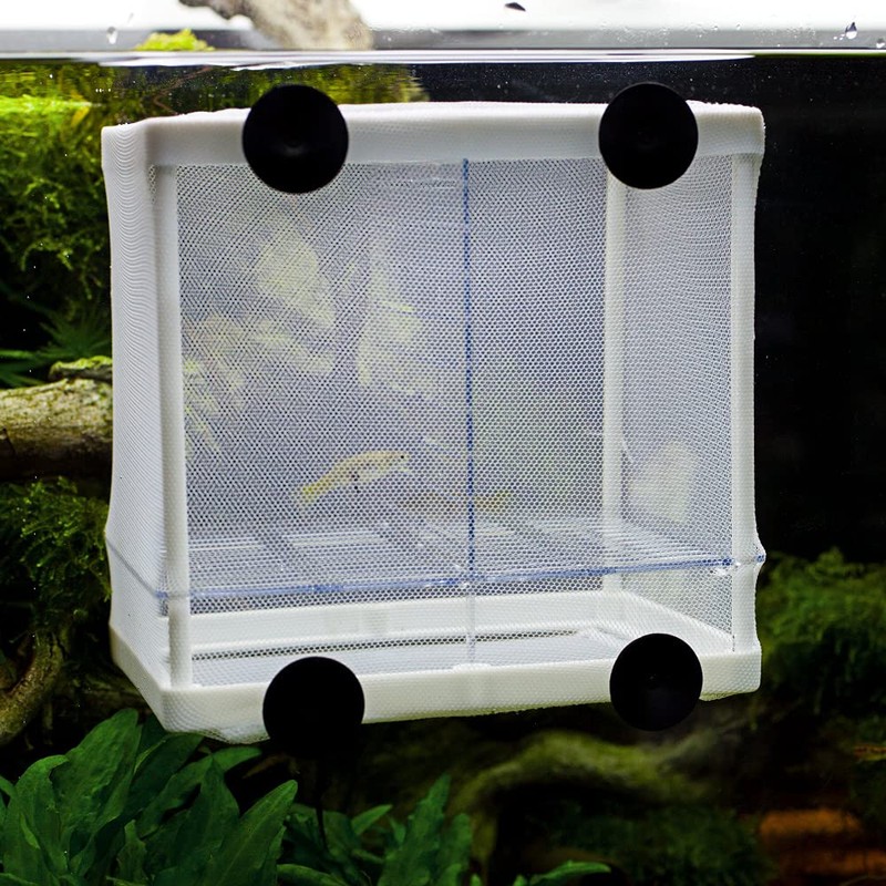 Hobby Nido Spawning Container